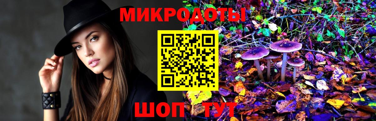 Галлюциногенные грибы Cubensis Артём